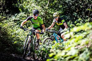 Brette Sportif