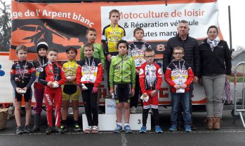 Brette Sportif