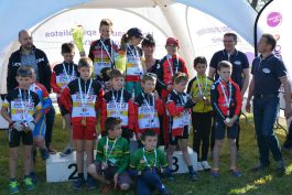 Brette Sportif