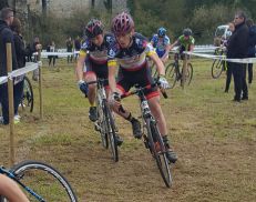 Brette Sportif