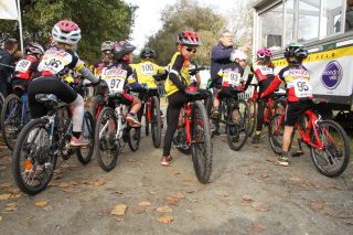 Brette Sportif
