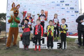 Brette Sportif