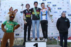 Brette Sportif