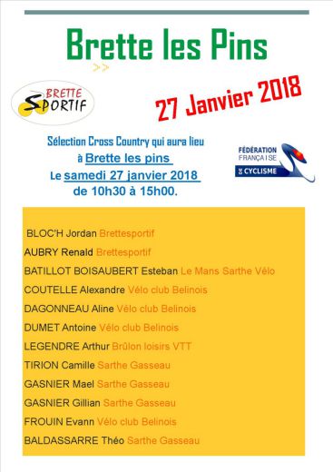 Brette Sportif
