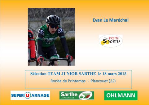Brette Sportif