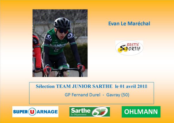 Brette Sportif