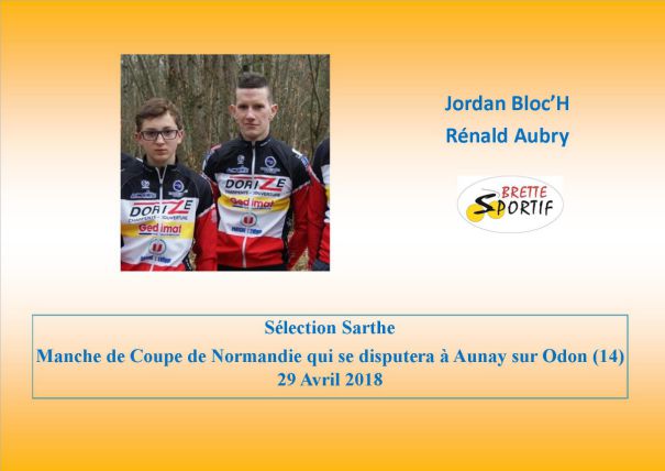 Brette Sportif