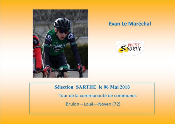 Brette Sportif