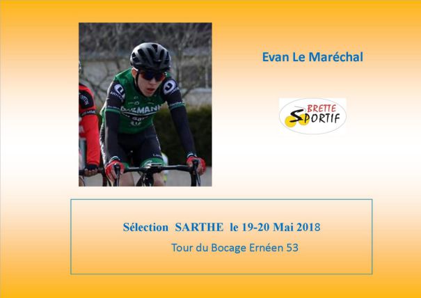 Brette Sportif