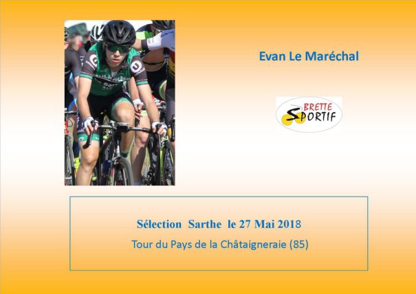 Brette Sportif
