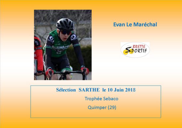 Brette Sportif