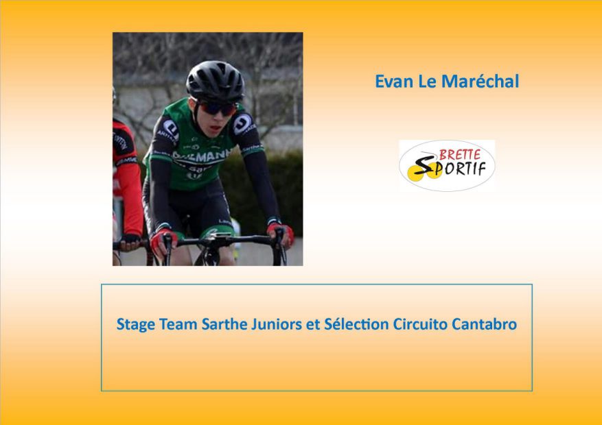 Brette Sportif