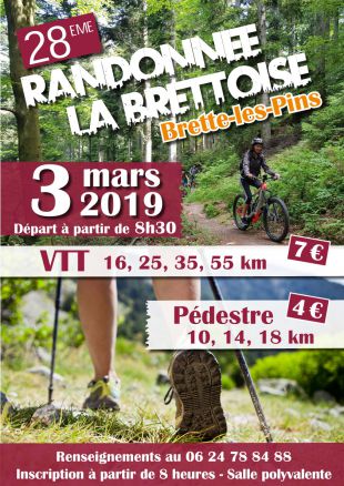 Brette Sportif