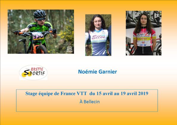 Brette Sportif