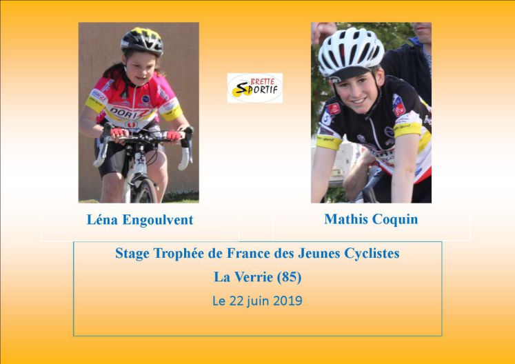 Brette Sportif