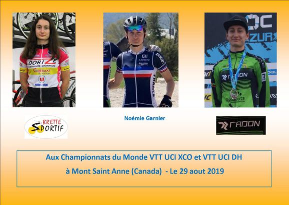 Brette Sportif