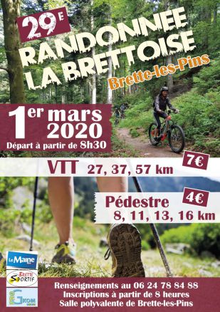 Brette Sportif