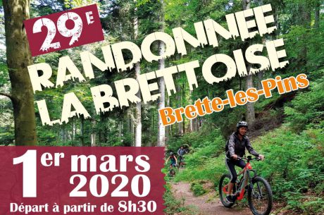 Brette Sportif