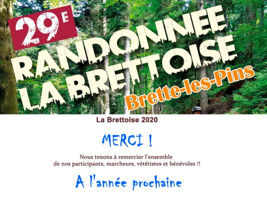 Brette Sportif