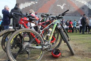 Brette Sportif