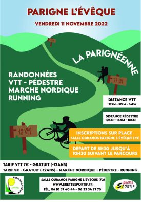 Brette Sportif