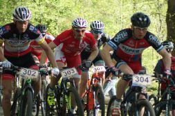 Brette Sportif