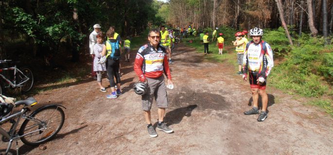Brette Sportif
