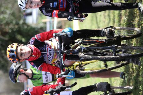 Brette Sportif