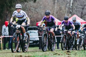 Brette Sportif